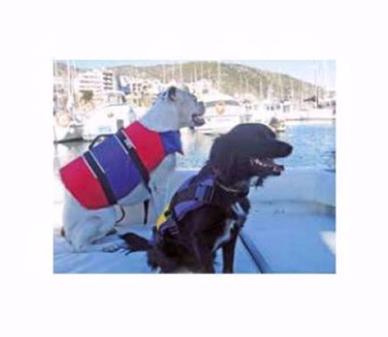 chaleco-para-mascotas-prosea