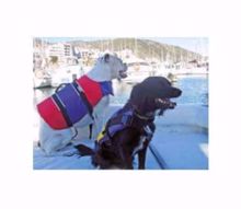 chaleco-mascota-5-10kgs